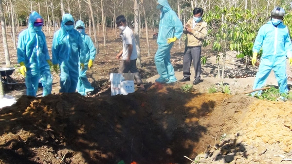 Nguy cơ b&ugrave;ng ph&aacute;t dịch c&uacute;m A/H5N6 tại Kon Tum