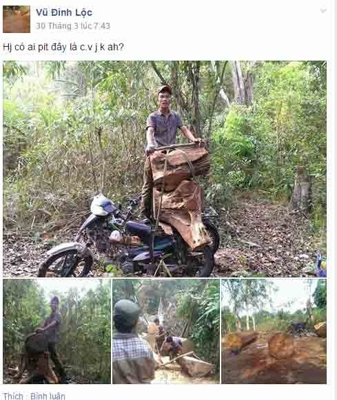 Những h&igrave;nh ảnh được đăng t&agrave;i tr&ecirc;n trang c&aacute;c nh&acirc;n của Vũ Đ&igrave;nh Lộc 