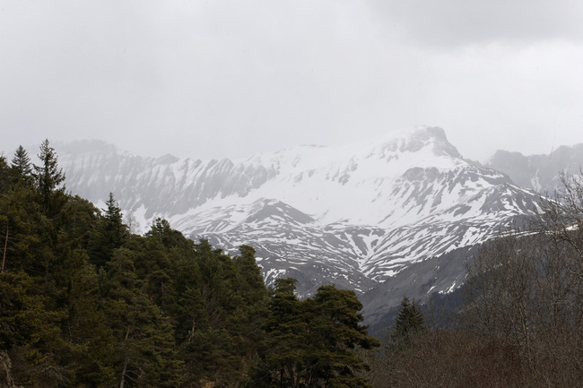 D&atilde;y n&uacute;i Alps