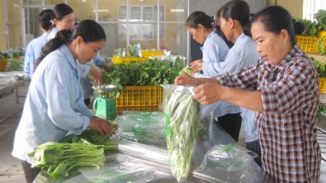 Triển khai chuỗi cung cấp rau, thịt an to&agrave;n tại H&agrave; Nội