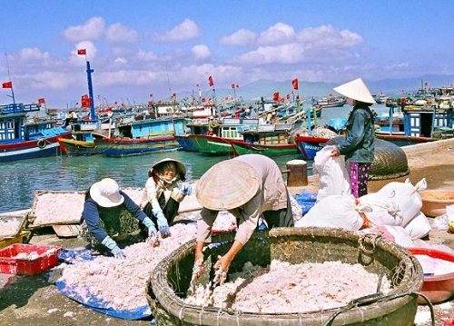 Nhiều cảng c&aacute; tại B&igrave;nh Định đang trong t&igrave;nh trạng qu&aacute; tải 