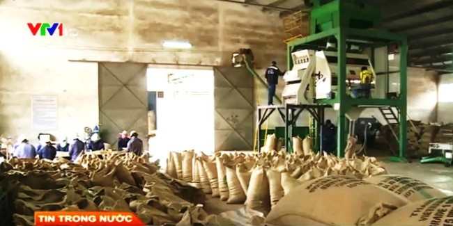 Theo tin tức mới cập nhật trong nước, gi&aacute; xuất khẩu n&ocirc;ng sản Việt Nam chỉ bằng 65% so với gi&aacute; b&igrave;nh qu&acirc;n thế giới