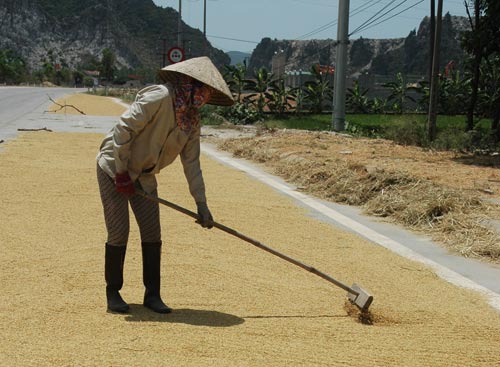 Theo tin tức mới cập nhật trong nước, Miền Trung nhiệt độ cao nhất trong ng&agrave;y c&oacute; thể tr&ecirc;n 38 độ C