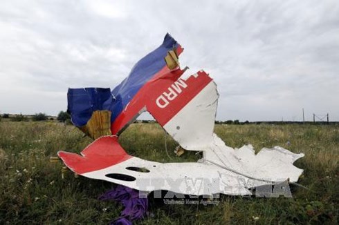 Mảnh vỡ m&aacute;y bay MH17 ở Shaktarsk, v&ugrave;ng Donetsk, miền Đ&ocirc;ng Ukraine ng&agrave;y 18/7/2014