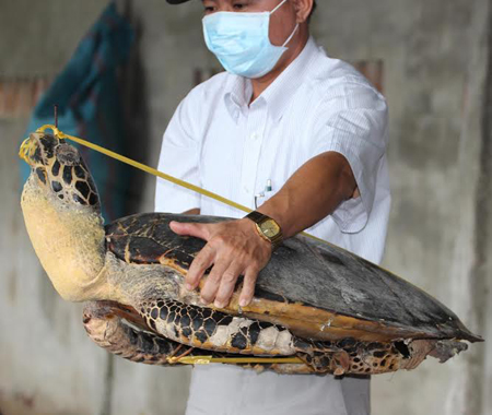 Tin tức mới cập nhật: Ph&aacute;t hiện h&agrave;ng trăm c&aacute; thể r&ugrave;a biển bị ng&acirc;m tẩm 13Win21 con - Tri ân hội viên mỗi tháng 2000 tỷ