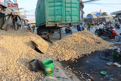 Container gặp tai nạn, lật nghi&ecirc;ng tr&uacute;t h&agrave;ng tấn khoai m&igrave; xuống nh&agrave; d&acirc;n