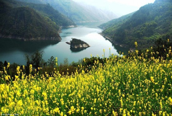 H&ograve;n đảo r&ugrave;a chỉ xuất hiện v&agrave;o m&ugrave;a xu&acirc;n tr&ecirc;n s&ocirc;ng Muodaoxi. Ảnh Odditycentral