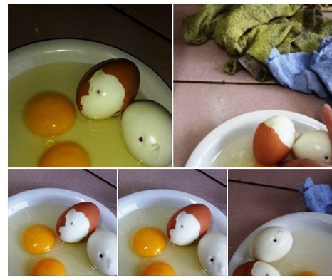 Tin tức mới nhất x&aacute;c minh tin đồn trứng g&agrave; giả