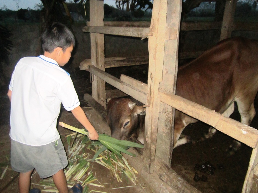 L&atilde;nh đạo nh&agrave; trường tới biểu dương cậu b&eacute; 'đ&oacute;i cho sạch, r&aacute;ch cho thơm