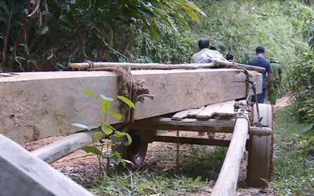 Trong những tin ph&aacute;p luật mới nhất h&ocirc;m nay c&oacute; vụ c&aacute;c chiến sĩ c&ocirc;ng an mật phục suốt 10 ng&agrave;y để v&acirc;y bắt l&acirc;m tặc