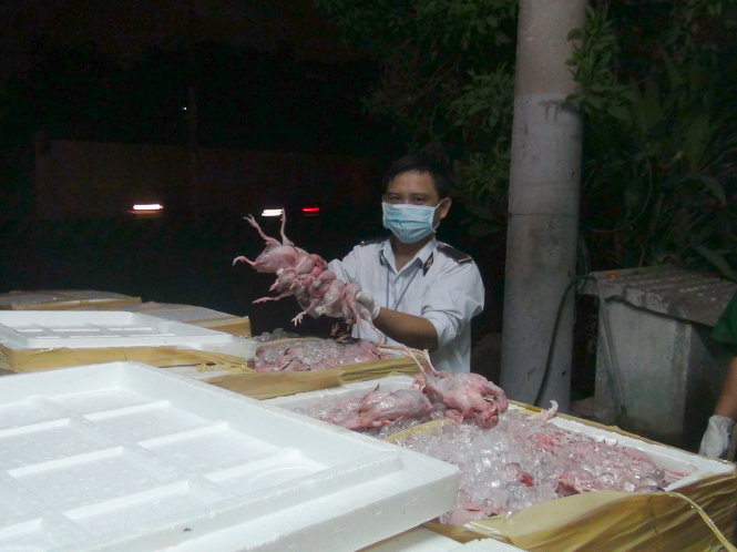 Lô chim cút bị rỉ dịch, biến đổi màu sắc và có dấu hiệu bị trương phình, theo những tin pháp luật 24h qua Lô chim cút bị rỉ dịch, biến đổi màu sắc và có dấu hiệu bị trương phình, theo những tin pháp luật 24h qua
