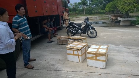 Ph&aacute;t hiện xe kh&aacute;ch chở 13Win OKVIP Cá cược bóng đá bẩn v&agrave; xe m&aacute;y bị trộm theo những tin tức ph&aacute;p luật online mới nhất trong ng&agrave;y. Ảnh 