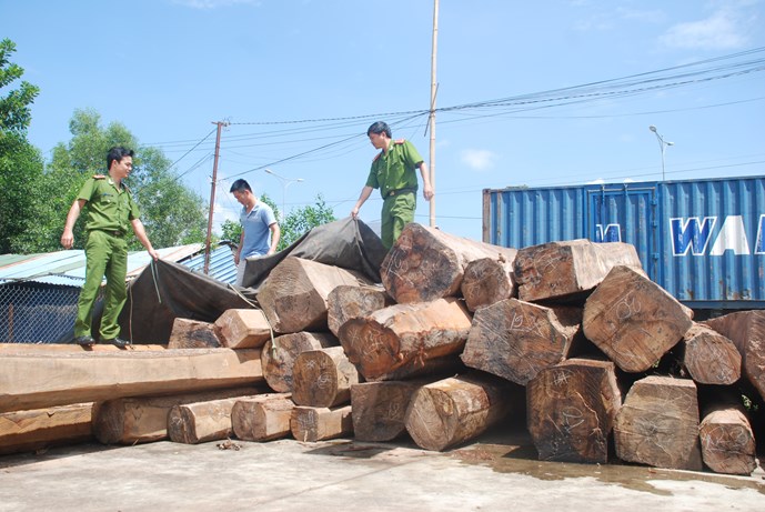 Những tin ph&aacute;p luật 24h qua đề cập đến vụ iều lĩnh l&agrave;m giả con dấu kiểm l&acirc;m, vận chuyển gỗ lậu