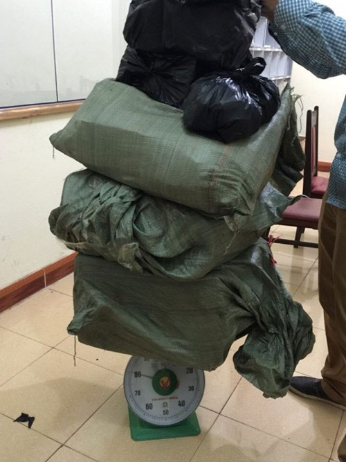 Những tin ph&aacute;p luật 24h qua đề cập đến vụ Khởi tố kẻ sang Trung Quốc mang ph&aacute;o nổ về nước
