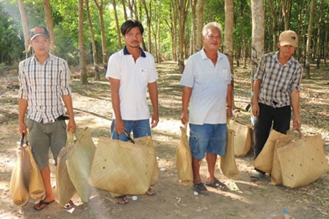 Trong những tin tức ph&aacute;p luật mới nhất h&ocirc;m nay c&oacute; vụ đột k&iacute;ch một tụ điểm đ&aacute;nh bạc dưới h&igrave;nh thức đ&aacute; g&agrave; ăn tiền