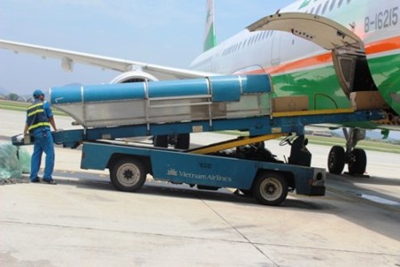 Bắt đối tượng trộm... quần tại sân bay Nội Bài là một trong những tin pháp luật mới nhất hôm nay. Ảnh: Bắt đối tượng trộm... quần tại sân bay Nội Bài là một trong những tin pháp luật mới nhất hôm nay. Ảnh: