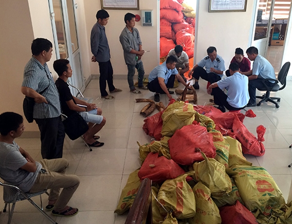 Trong những tin tức ph&aacute;p luật mới nhất h&ocirc;m nay c&oacute; vụ  khởi tố vụ &aacute;n h&igrave;nh sự bu&ocirc;n lậu hơn 2 tấn vẩy t&ecirc; t&ecirc; v&agrave; 860 kg ng&agrave; voi 