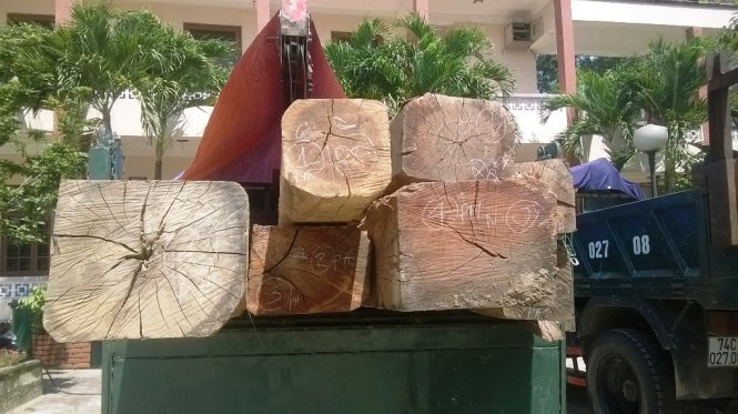 Bắt giữ xe gỗ lậu của hạt trưởng kiểm l&acirc;m l&agrave; một trong những tin ph&aacute;p luật mới nhất h&ocirc;m nay