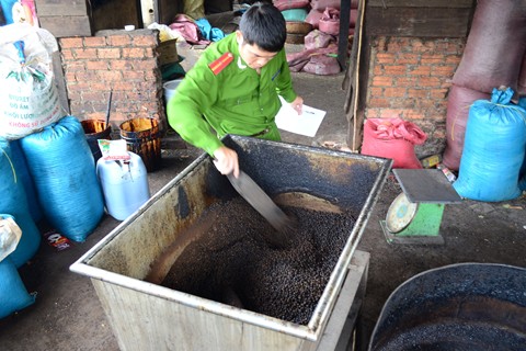 Những tin tức ph&aacute;p luật mới nhất h&ocirc;m nay đề cập đến nạn l&agrave;m giả c&agrave; ph&ecirc; từ đậu n&agrave;nh, bột bắp
