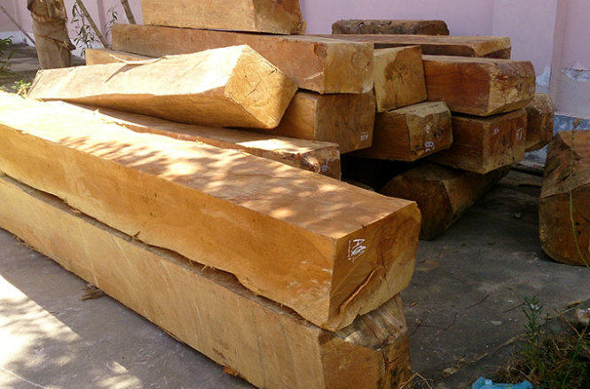 Bắt vụ ph&aacute; rừng đầu nguồn s&aacute;t bi&ecirc;n giới ở Nghệ An l&agrave; một trong những tin ph&aacute;p luật 24h qua