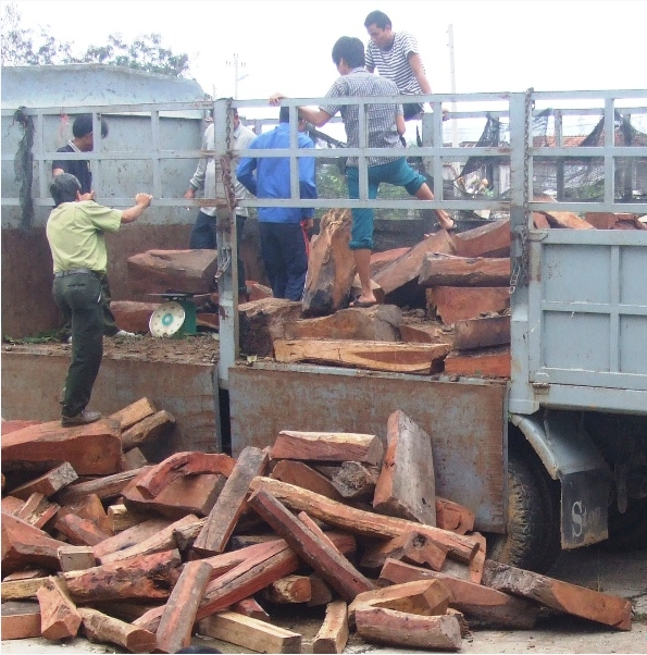 Ph&aacute;t hiện xe gỗ trắc trị gi&aacute; h&agrave;ng tỷ đồng l&agrave; một trong những tin ph&aacute;p luật online nổi bật trong ng&agrave;y