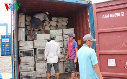B&ecirc;n trong 1 container bị bắt giữ l&agrave; h&agrave;ng trăm m&aacute;y điều h&ograve;a v&agrave; thiết bị y tế đ&atilde; cũ, theo những tin ph&aacute;p luật mới nhất trong ng&agrave;y