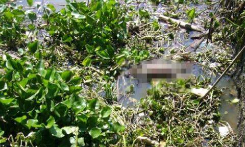 Trong những tin tức ph&aacute;p luật mới nhất h&ocirc;m nay c&oacute; vụ ph&aacute;t hiện thi thể b&iacute; ẩn ở Hải Dương