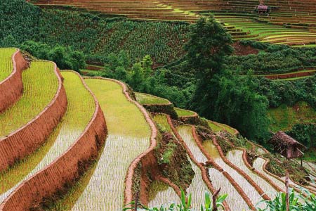 Khởi tố kẻ đ&aacute;nh chết &ocirc;ng ngoại v&igrave; bốc thăm phải ruộng xấu l&agrave; một trong những tin tức ph&aacute;p luật 24h qua