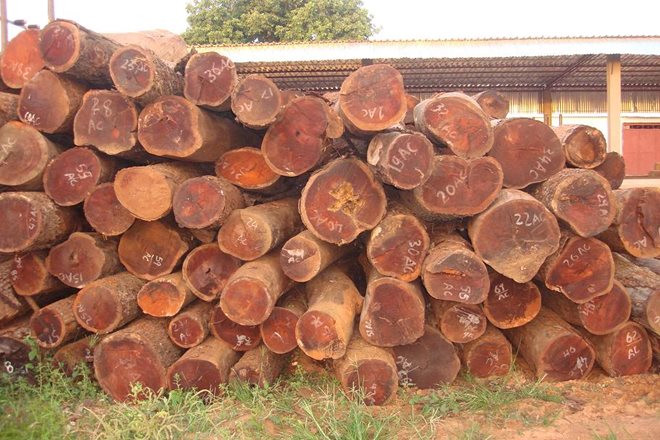 Những tin ph&aacute;p luật 24h qua đề cập đến vụ việc Chủ tịch tỉnh Tiền Giang thua kiện v&igrave; tịch thu gỗ sai luật