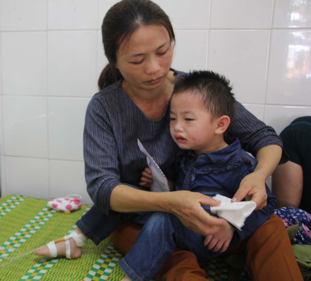Trong những tin tức thời sự 24h h&ocirc;m nay c&oacute; việc một c&ocirc; gi&aacute;o v&agrave; gần 20 trẻ mầm non bị ong đốt 