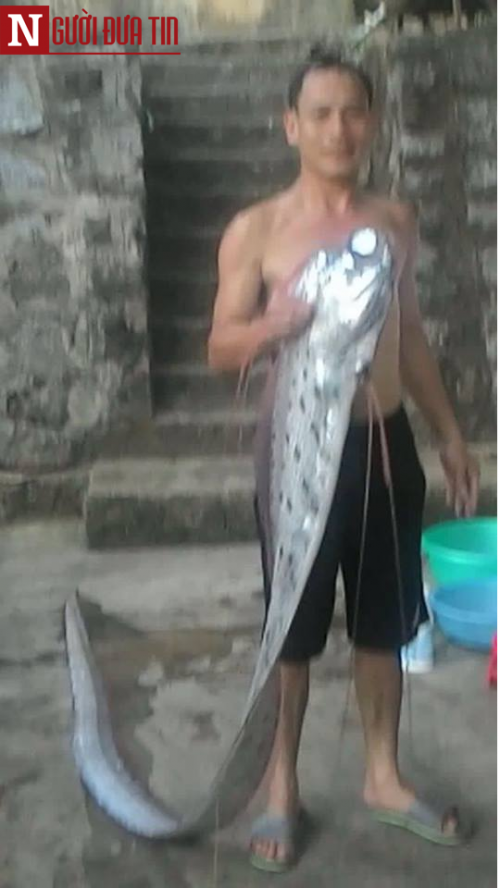 Bắt được 'thủy qu&aacute;i' d&agrave;i 3m ở H&agrave; Tĩnh l&agrave; một trong những tin tức thời sự 24h h&ocirc;m nay
