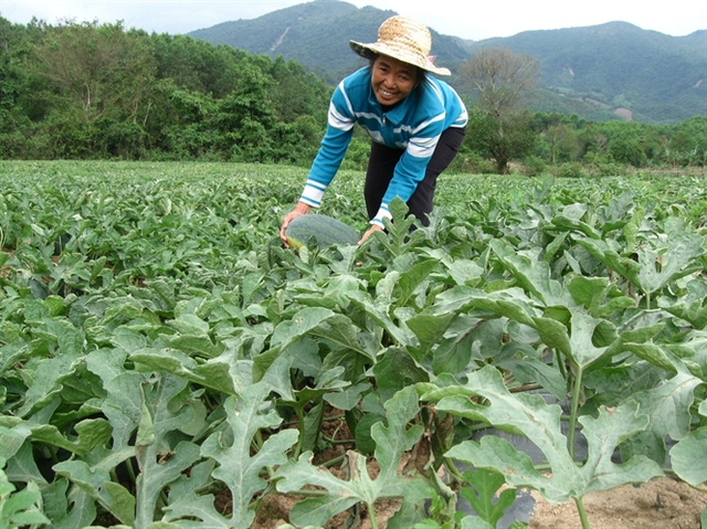 Tin tức trong ng&agrave;y 14/3: Thời điểm tốt để mua v&agrave;ng t&iacute;ch trữ