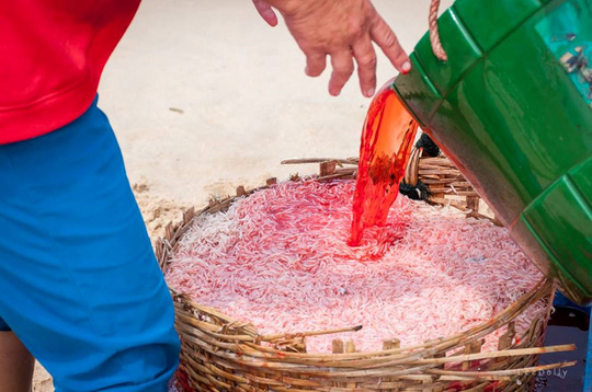Tin tức trong ng&agrave;y 14/4: Gi&ograve;i 'dạo chơi' trong 5 tấn măng ở Nghệ An