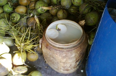 Tin tức trong ng&agrave;y 20/4: Giật m&igrave;nh c&ocirc;ng nghệ &lsquo;tắm trắng&rsquo; dừa tươi