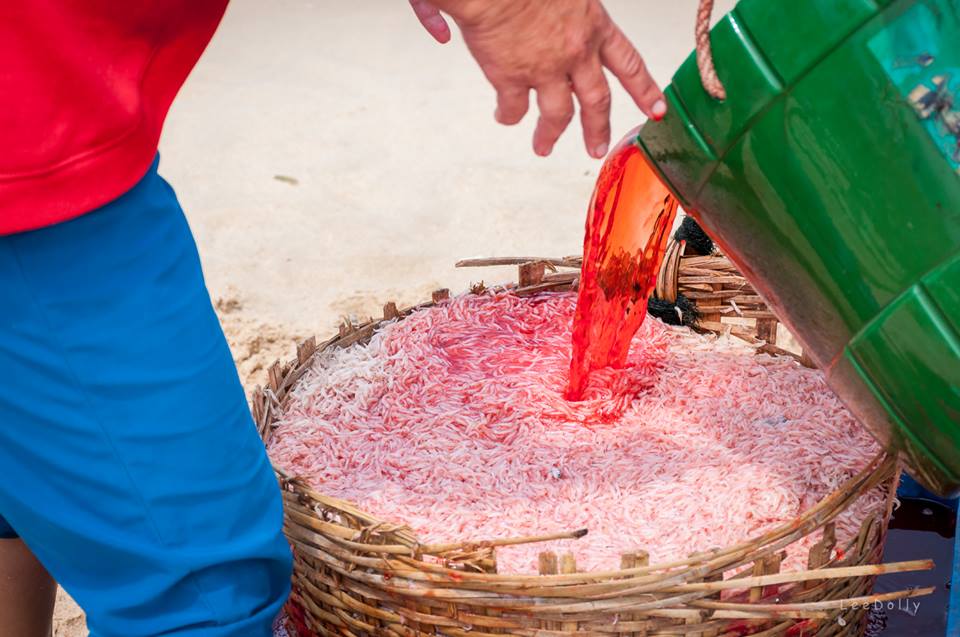 Tin tức trong ng&agrave;y 24/3: Người Việt đang đầu độc đồng b&agrave;o m&igrave;nh?