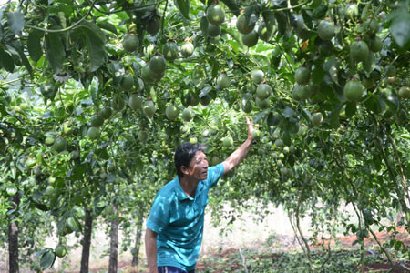 Tin tức trong ng&agrave;y 29/3: Sản xuất giấm ăn từ axit v&agrave; nước giếng khoan