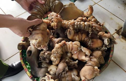 Tin tức trong ng&agrave;y 6/5: Ph&aacute;t hiện chấn động ở l&ograve; giết mổ lợn