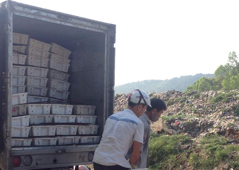 Tin tức trong ngày: Tiêu hủy hơn 3 tấn cá bốc mùi hôi thối