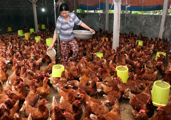 Tin tức trong ng&agrave;y 8/4: Chế dấm gạo từ axit v&agrave; nước l&atilde;