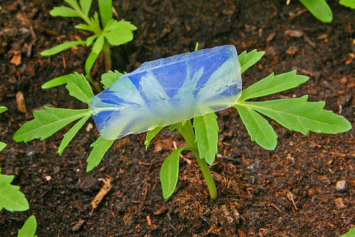 Ứng dụng của Aerogel có thể đến từ mọi lĩnh vực cuộc sống, đặc biệt với công nghệ vũ trụ
