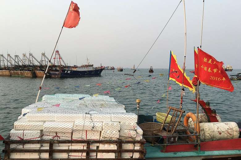 Việc t&agrave;u c&aacute; Trung Quốc mang cả vũ kh&iacute; ra v&ugrave;ng biển tranh chấp c&oacute; thể l&agrave;m phức tạp th&ecirc;m t&igrave;nh h&igrave;nh Biển Đ&ocirc;ng