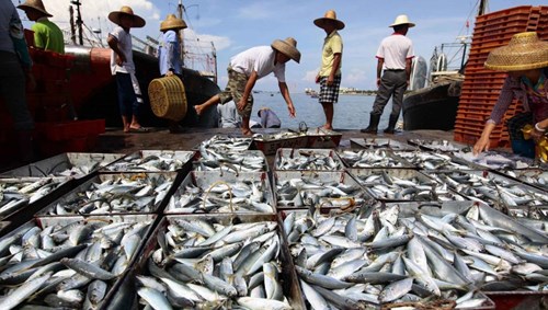 Trung Quốc trả tiền, hỗ trợ phương tiện khuyến khích ngư dân đánh bắt xa bờ trên biển Đông Trung Quốc trả tiền, hỗ trợ phương tiện khuyến khích ngư dân đánh bắt xa bờ trên biển Đông