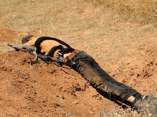 Qu&acirc;n đội Syria giết chết chỉ huy h&agrave;ng đầu nh&oacute;m Ahrar al-Sham tại Latakia
