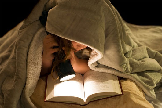 C&aacute;c c&uacute; đ&ecirc;m được cho l&agrave; sở hữu tr&iacute; th&ocirc;ng minh vượt trội hơn những người sinh hoạt điều độ