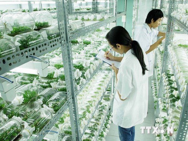 Tin tức khoa học c&ocirc;ng nghệ mới nhất h&ocirc;m nay ng&agrave;y 10/11: Chuyển giao c&ocirc;ng nghệ Israel v&agrave;o Việt Nam