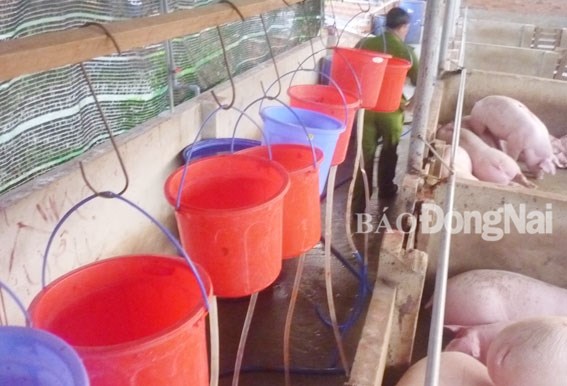 cơ sở mua b&aacute;n heo của b&agrave; Thoa đ&atilde; vi phạm trong lĩnh vực bảo vệ m&ocirc;i trường v&agrave; an to&agrave;n vệ sinh 13Win OKVIP Cá cược bóng đá