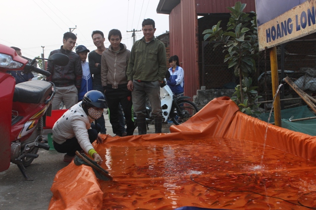 cứ đến cận ng&agrave;y Tết &ocirc;ng C&ocirc;ng, &ocirc;ng T&aacute;o l&agrave; l&agrave;ng T&acirc;n Cổ (x&atilde; Quảng T&acirc;n, Quảng Xương) lại rộn r&agrave;ng, tấp nập người ra v&agrave;o