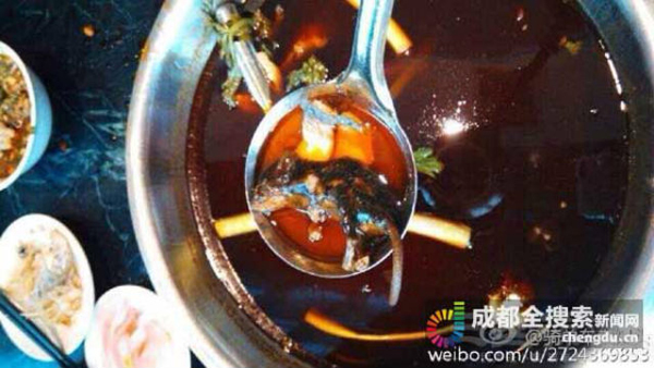 Con chuột chết được vớt l&ecirc;n từ đ&aacute;y nồi lẩu