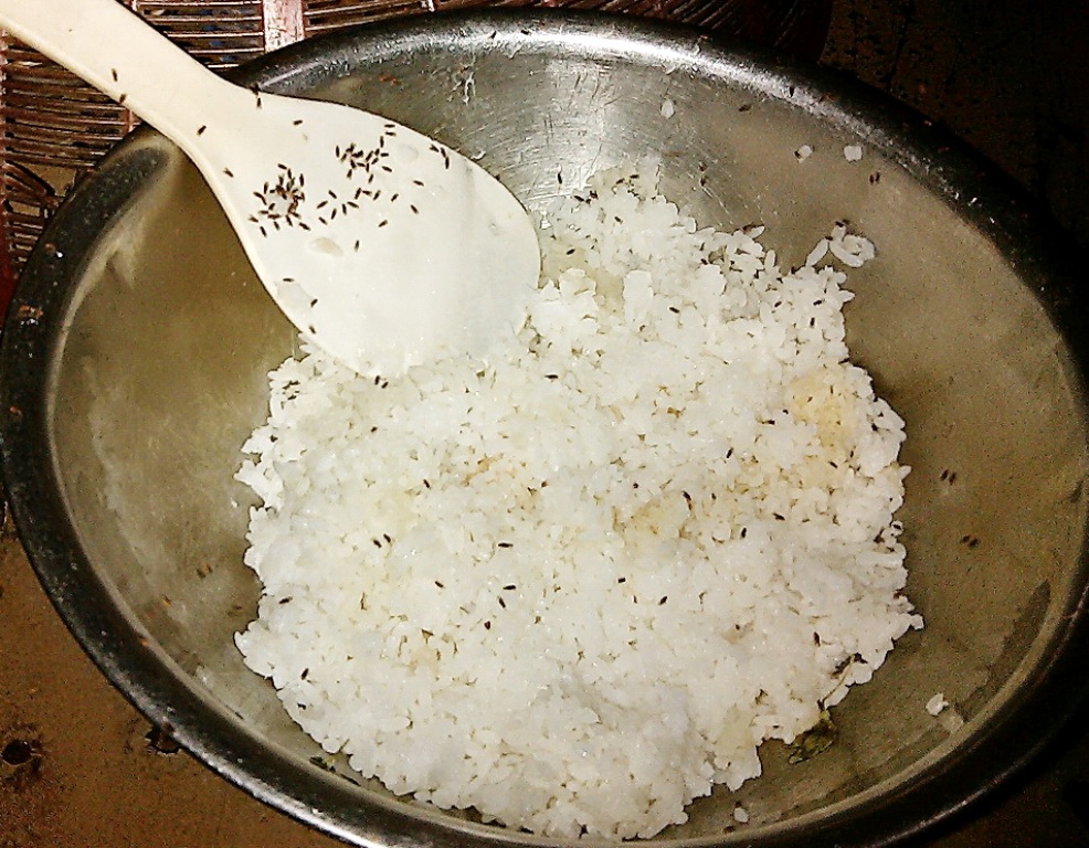 D&ugrave; d&ugrave;ng b&igrave;nh xịt diệt c&ocirc;n tr&ugrave;ng cũng kh&ocirc;ng hiệu quả với lo&agrave;i c&ocirc;n tr&ugrave;ng lạ n&agrave;y