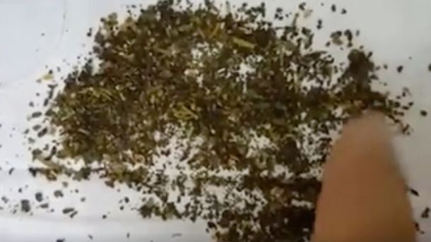 Ngay sau đó, hãng trà Lipton đã phải lên tiếng thanh minh những con ‘bọ’ thực chất chỉ là mảnh hương liệu chanh Ngay sau đó, hãng trà Lipton đã phải lên tiếng thanh minh những con ‘bọ’ thực chất chỉ là mảnh hương liệu chanh